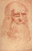 Self Portrait Leonardo Da Vinci